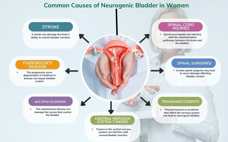 neurogenic bladder treatment