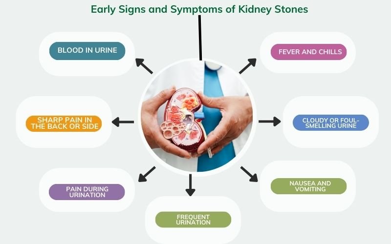 stone disorders treatment