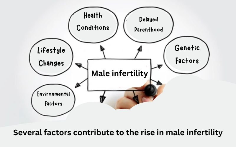 Male infertility