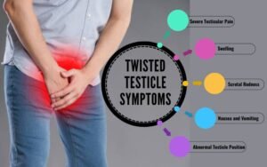 Twisted Testicle Symptoms 